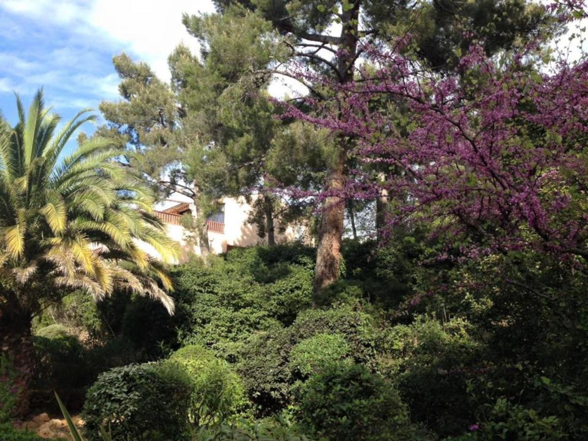 Studio 110 Grande Terrasse Proche Mer Bandol Exteriör bild
