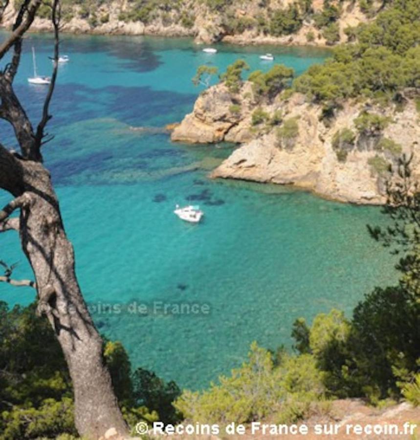 Studio 110 Grande Terrasse Proche Mer Bandol Exteriör bild