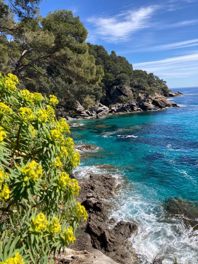 Studio 110 Grande Terrasse Proche Mer Bandol Exteriör bild